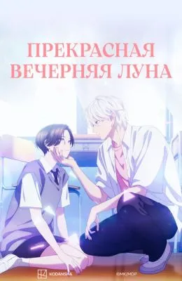 Прекрасная вечерняя луна